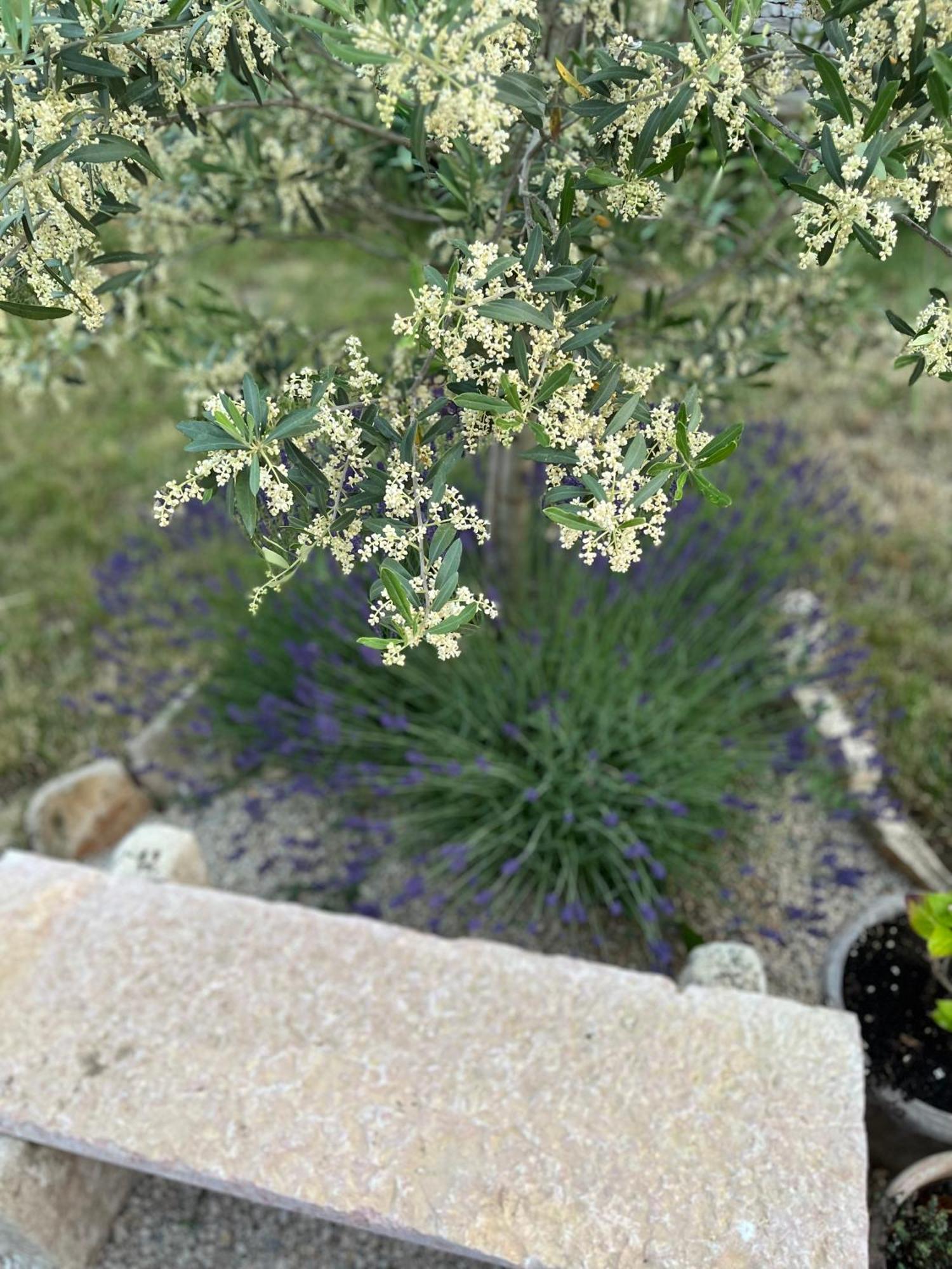 Le Gite De Tassigny 뫼르소 외부 사진